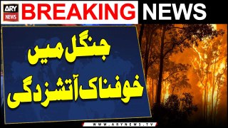 Huge fire sweeps through Murree forest | ARY Breaking News
