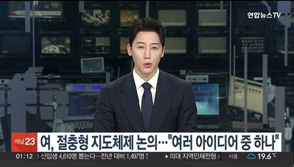 여, 절충형 지도체제 논의…"여러 아이디어 중 하나"