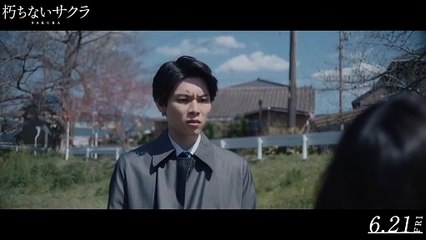 映画『朽ちないサクラ』本編映像
