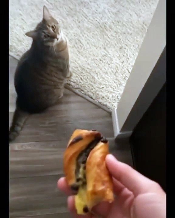 delicious ...