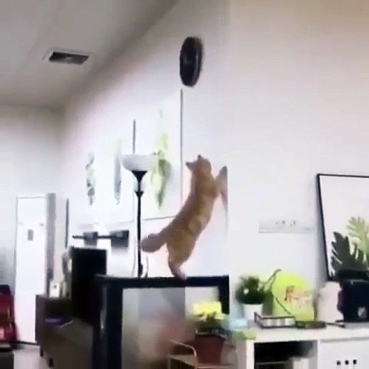 ouch... no