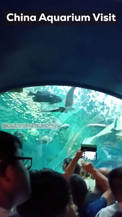 One of the Biggest Aquarium in china #shortvideo