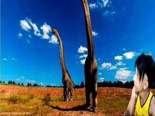 Created by Nivaldo Francisco Dos Santos