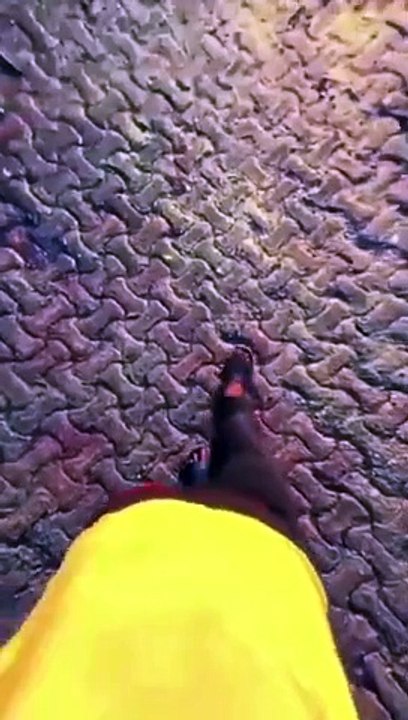 Sad Poetry l Urdu Poetry l Sad Urdu Poetry l Sad Urdu Shayri l Sad Shayri l Sad Status l Sad Lines