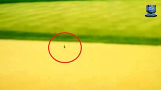 Watch the Horrific Moment Golfer ISI GABSA Kills BIRD with a Tee Shot at the US Women’s Open