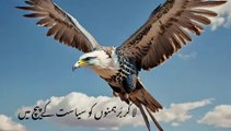 iblees ka Farman Apne Siyasin Farzando Ke Naam | Allama Iqbal Poetry | Best Urdu Poetry | Shikwa Jawab e shikwa | new Urdu poetry