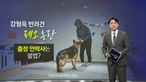 강형욱 '반려견 레오' 논란...출장 안락사는 불법? [앵커리포트] / YTN