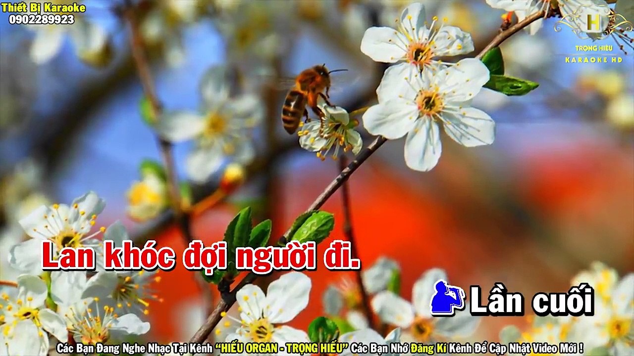 Karaoke Chuyện Tình Lan Và Điệp Song Ca Nhạc Sống   Trọng Hiếu
