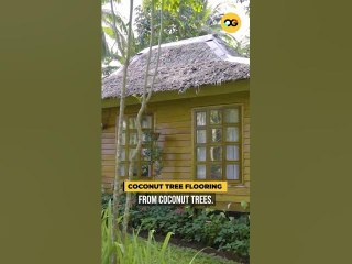 Farm Owners Spent 150K for This Modern Bahay Kubo | OG #shorts