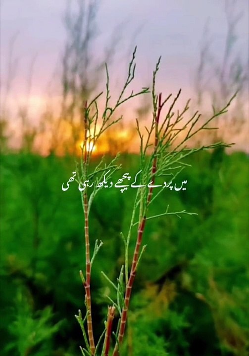 Poetry for Hazrat Fatima