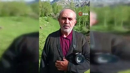 Van'da kocabaş engerek yılanı böyle görüntülendi