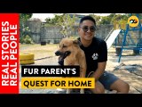 From Renting to Owning: A Fur Parent's Quest for a Dog-Friendly Home in Bulacan