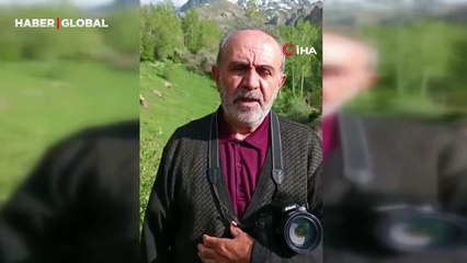 Van'da karların arasında zehirli kocabaş engerek yılanı, ilk kez görüntülendi! “Boyu 1,5 metre oluyor"