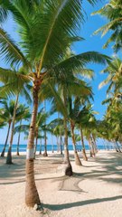 LES PLUS BEAUX endroits aux Philippines