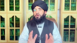 Maulana Ilyas Qadri Ki Khidmat Main Guzarish امیردعوت اسلامی کی خدمت میں گزارش Mufti Hanif Qureshi