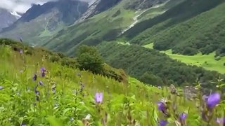 The Valley of Flowers Trek, Uttrakhand is All Set to Open from June1, 2024 | AeronFly | Make Your Safar Suhana