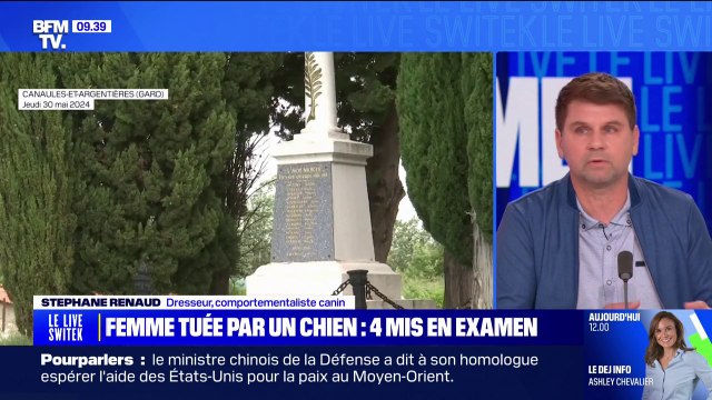 C'est un chien de chasse : Stéphane Renaud, dresseur et comportementaliste canin, après l'agression mortelle d'une femme de 93 ans dans un cimetière