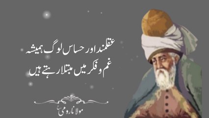 Maulana rumi best quotes