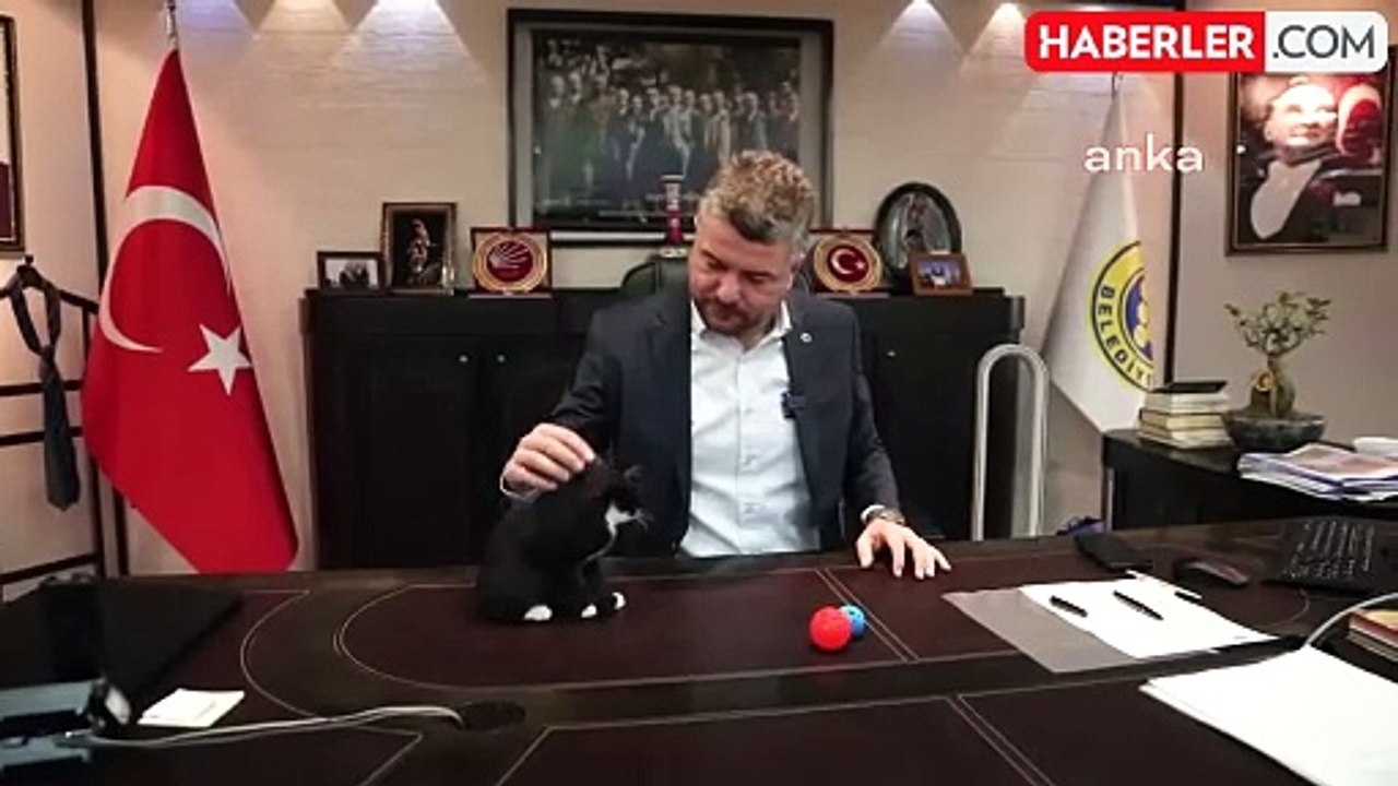 Buca Belediye Başkanı Üzüm adlı kediyle makamını paylaşıyor