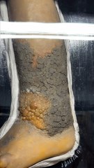 Reportage : Le musée des moulages