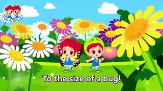 Caterpillar to Butterfly Cutie Crawlies- Insect Songs for Kids Bugs Song JunyTony