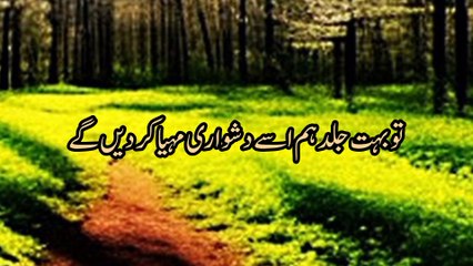 Surah lail | surah lail Urdu tarjmah | surah lail ki telawat