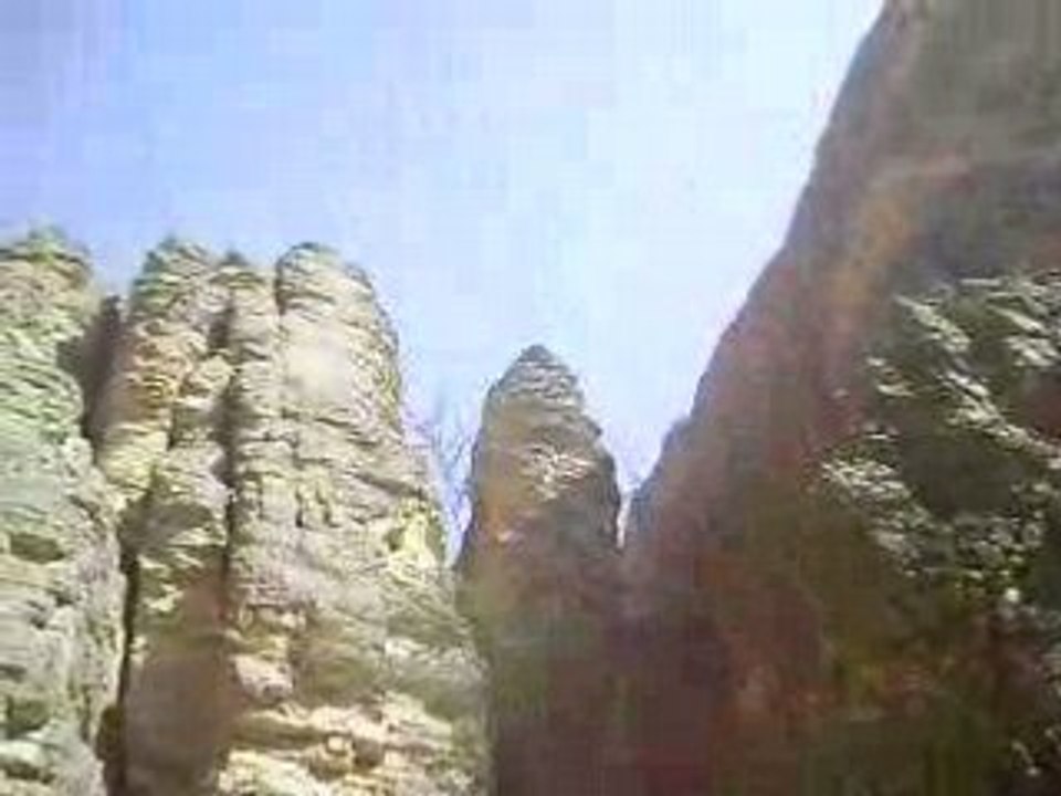 MOV00499