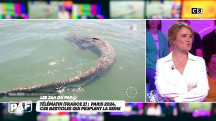 Paris 2024, ces bestioles qui peuplent la Seine !