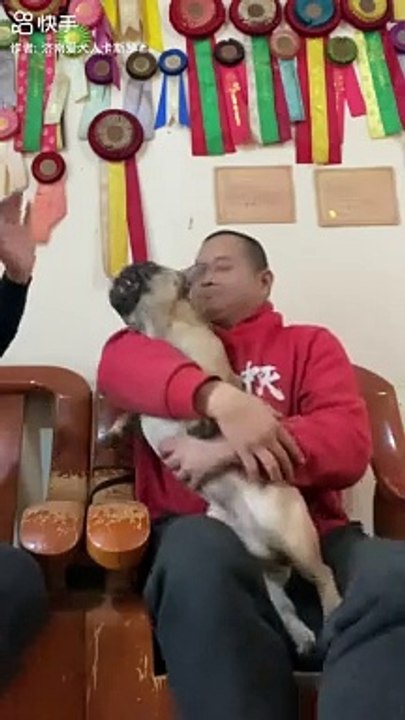 Funny dog shooting video