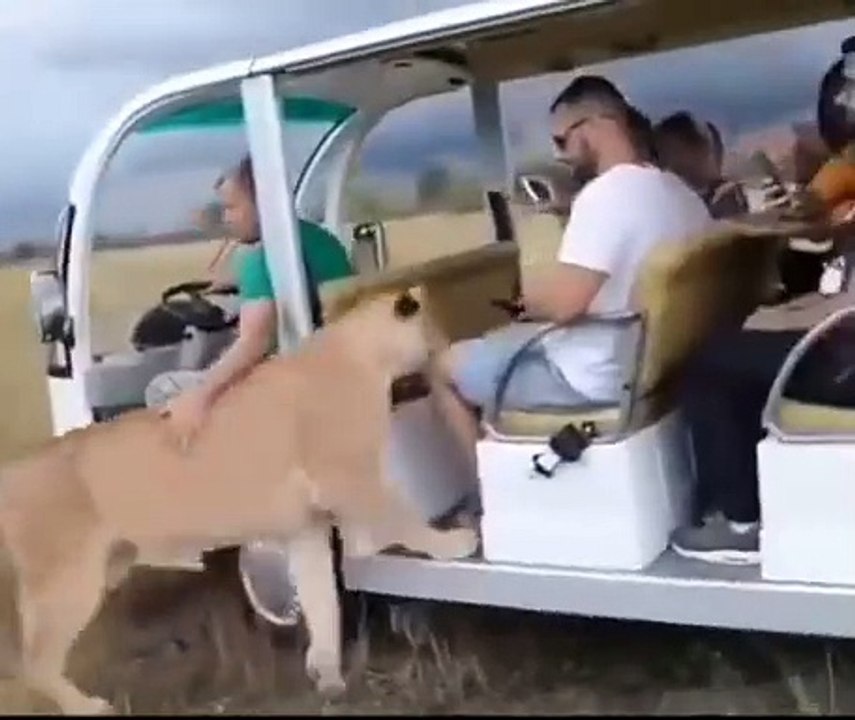 Elle veut juste un peu d'amour ❤️