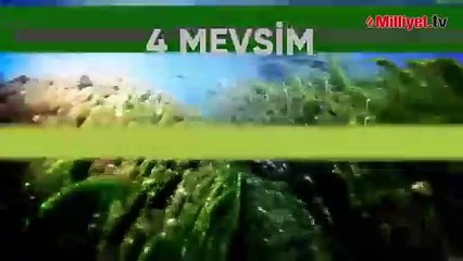 'Yeşil Doğa' beşinci kez 'dalya' diyor!