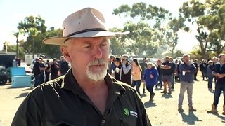 Western Australia farmers protest government plans to end live sheep trade
