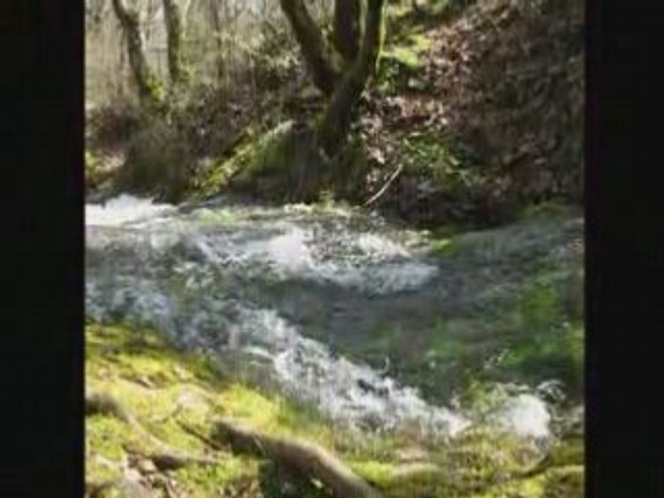 Farges20080412
