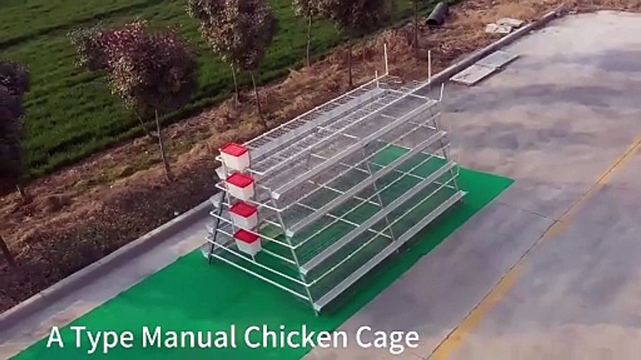 Livi Machinery | A Type Chicken Layer Battery Cage System