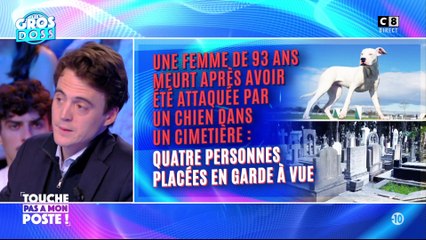Une femme de 93 ans meurt après avoir été attaquée par un chien dans un cimetière