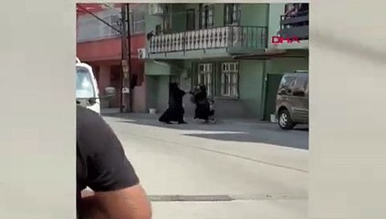 Dilencilerin mıntıka kavgası kamerada: ''Burası benim bölgem''
