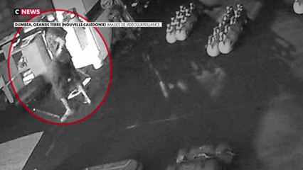 Nouvelle-Calédonie : des salles de sport vandalisées