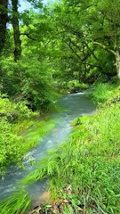 Sitting for a moment listening to the sound of running water makes it easier.