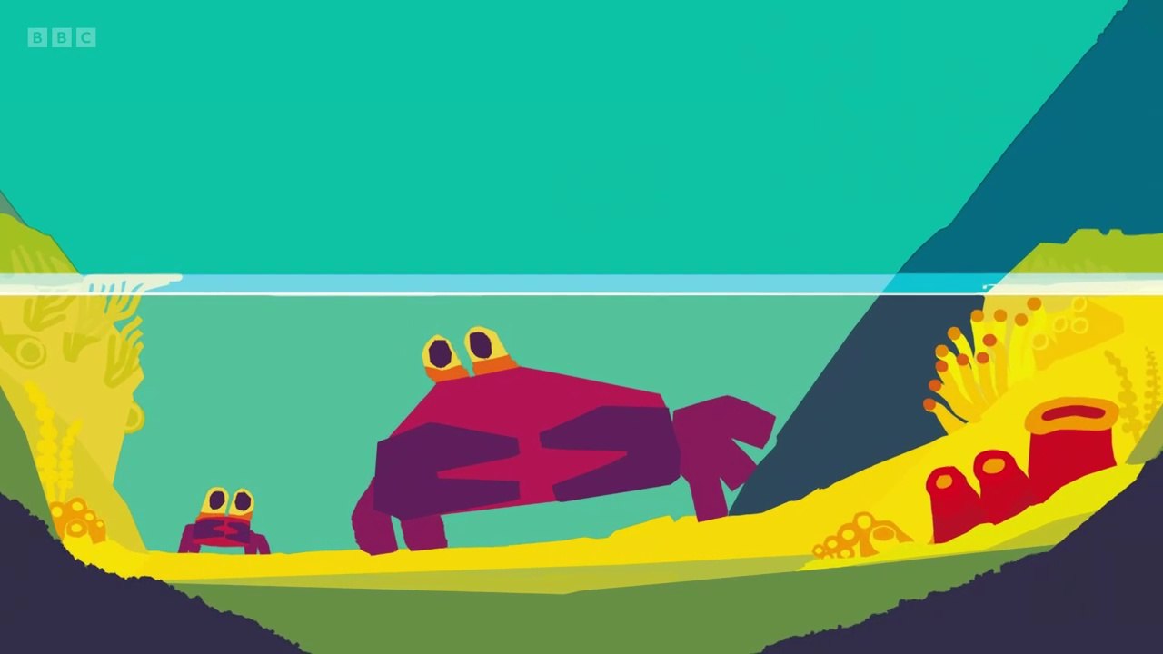 Don’t Worry, Little Crab  -  Tom Hardy