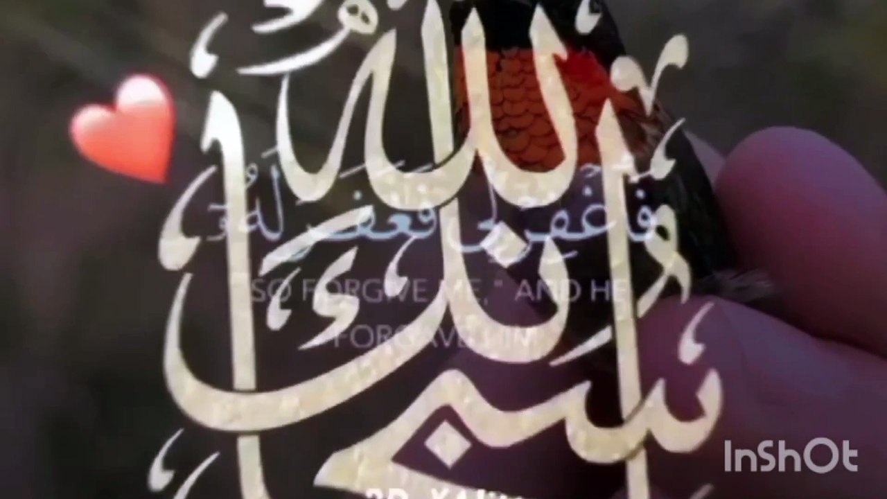 Tilawat e quran