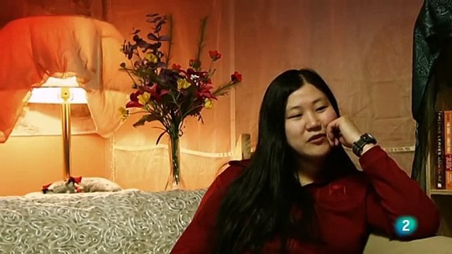 Antártida: Un Año en el Hielo y sus Sorprendentes Revelaciones