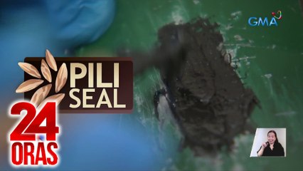 Pinoy-made sealant na gawa sa dagta ng pili, pinarangalan dahil safe, sustainable at mas mura | 24 Oras