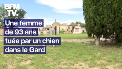 Une femme de 93 ans tuée par un chien dans un cimetière du Gard