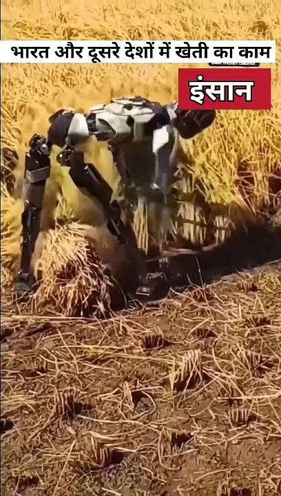 China robot  technology