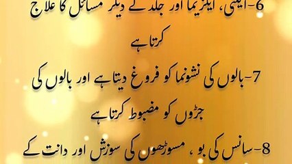 Benefits of chia seeds | Totkay ka jahaan