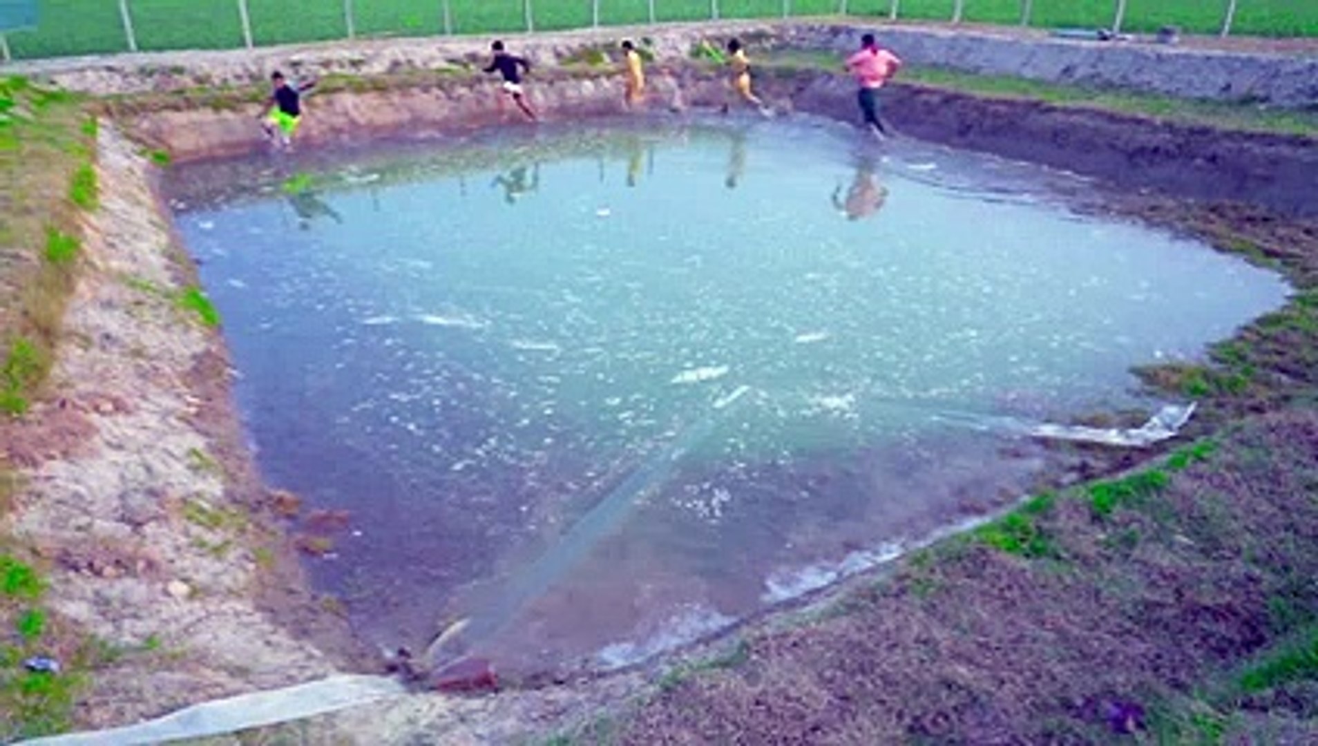 Funny videos and entertainment !