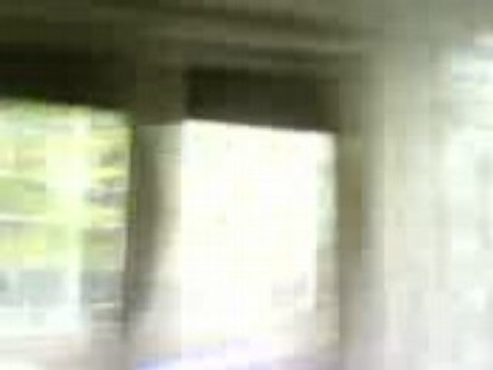 Cat jump