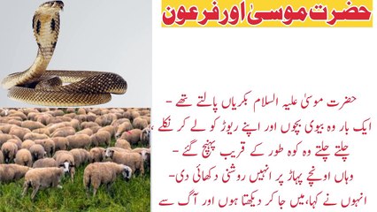 Hazrat Musa A.S r firon/ beautiful Urdu story