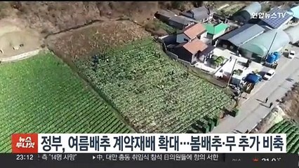 정부, 여름배추 계약재배 확대…봄배추·무 추가 비축