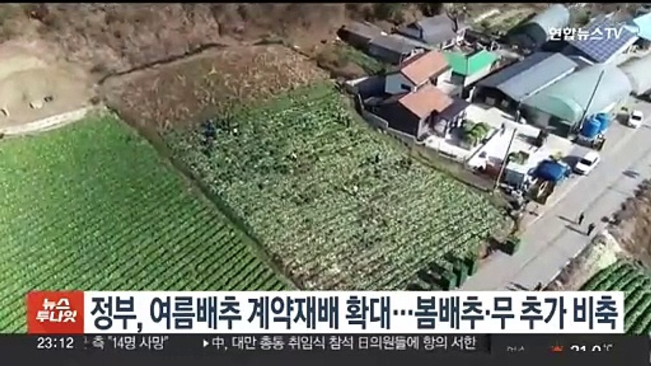 정부, 여름배추 계약재배 확대…봄배추·무 추가 비축